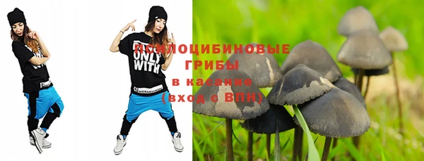 первитин Пересвет