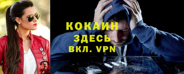 шишки Пестово